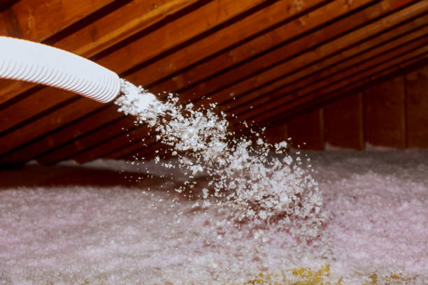 Best Attic Insulation Installation  in Cedar Creek, TX