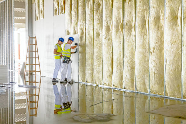 Best Garage Insulation  in Cedar Creek, TX